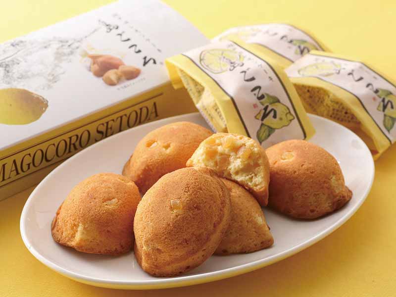 商品のご案内01