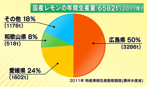 想いの軌跡 島ごころ公式サイト